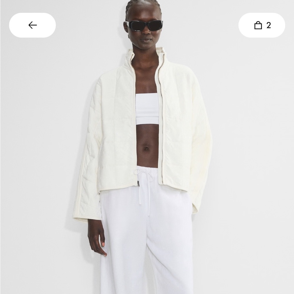 Aritzia Moon Jacket